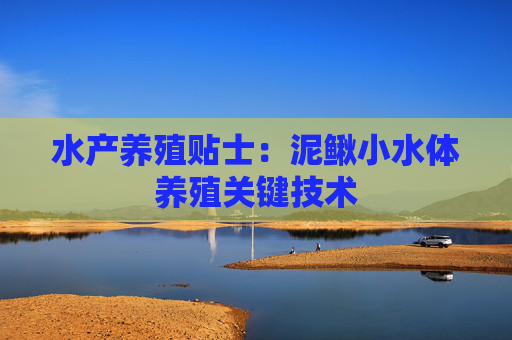 水产养殖贴士：泥鳅小水体养殖关键技术