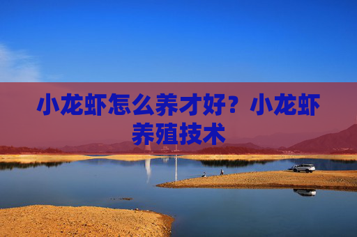 小龙虾怎么养才好？小龙虾养殖技术