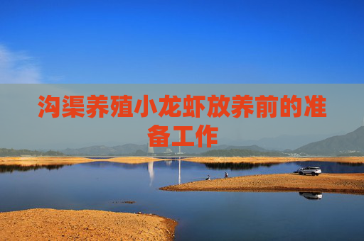 沟渠养殖小龙虾放养前的准备工作