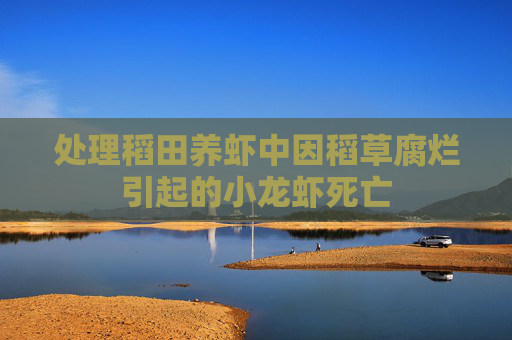处理稻田养虾中因稻草腐烂引起的小龙虾死亡