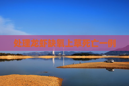 处理龙虾缺氧上草死亡一例 处理龙虾缺氧上草死亡一例