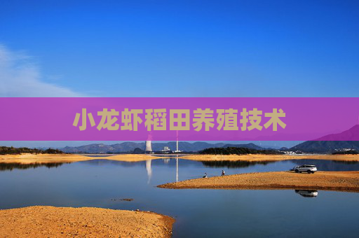小龙虾稻田养殖技术 小龙虾稻田养殖技术