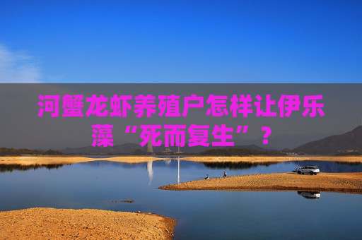 河蟹龙虾养殖户怎样让伊乐藻“死而复生”？
