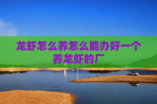 龙虾怎么养怎么能办好一个养龙虾的厂