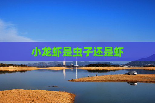 小龙虾是虫子还是虾 小龙虾是虫子还是虾