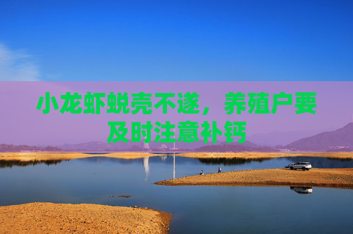 小龙虾蜕壳不遂，养殖户要及时注意补钙