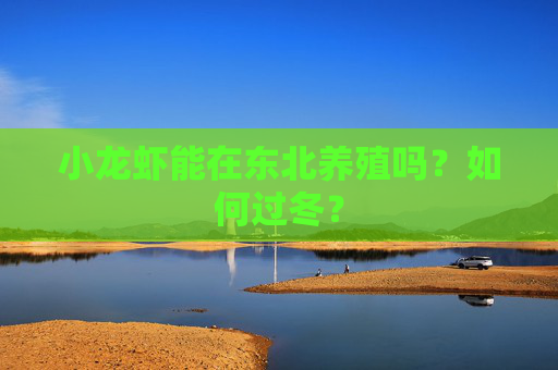小龙虾能在东北养殖吗？如何过冬？