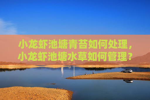 小龙虾池塘青苔如何处理，小龙虾池塘水草如何管理？