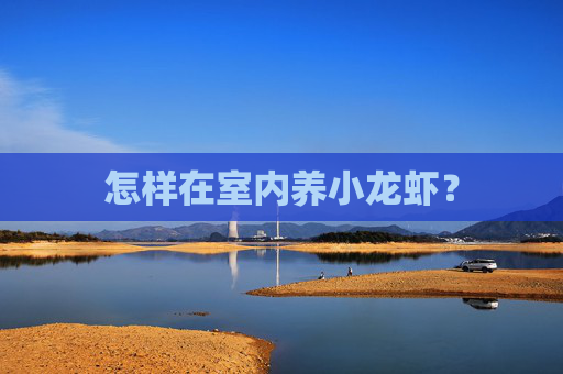 怎样在室内养小龙虾?