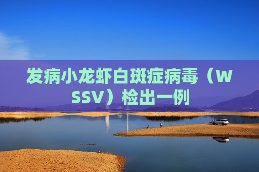发病小龙虾白斑症病毒（WSSV）检出一例