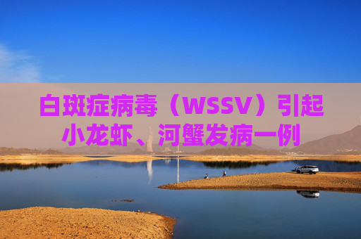 白斑症病毒（WSSV）引起小龙虾、河蟹发病一例