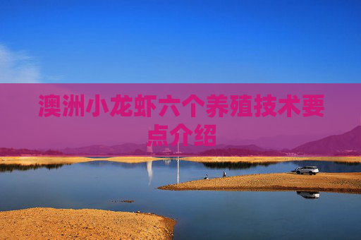 澳洲小龙虾六个养殖技术要点介绍
