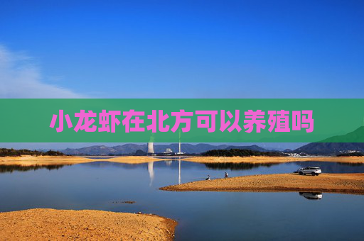 小龙虾在北方可以养殖吗