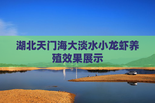 湖北天门海大淡水小龙虾养殖效果展示 湖北天门海大淡水小龙虾养殖效果展示