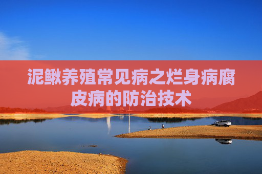 泥鳅养殖常见病之烂身病腐皮病的防治技术