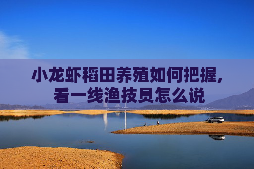 小龙虾稻田养殖如何把握, 看一线渔技员怎么说