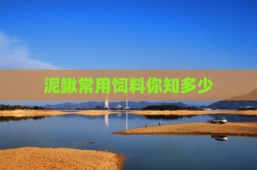 泥鳅常用饲料你知多少