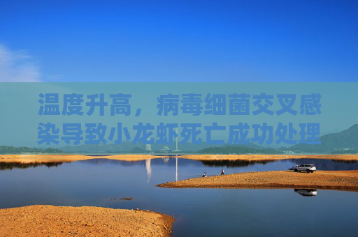 温度升高，病毒细菌交叉感染导致小龙虾死亡成功处理案例