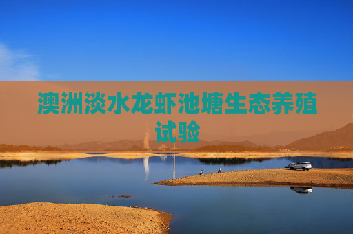 澳洲淡水龙虾池塘生态养殖试验