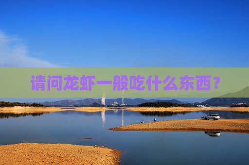 请问龙虾一般吃什么东西？