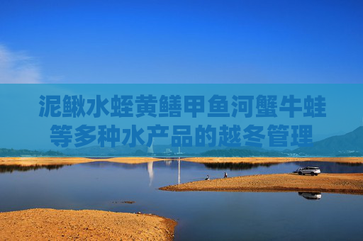 泥鳅水蛭黄鳝甲鱼河蟹牛蛙等多种水产品的越冬管理