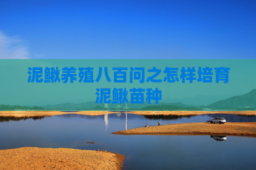 泥鳅养殖八百问之怎样培育泥鳅苗种