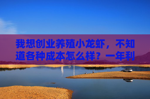 我想创业养殖小龙虾,不知道各种成本怎么样?一年利润如何?有何风险?市场前景如何? 我想创业养殖小龙虾,不知道各种成本怎么样?一年利润如何?有何风险?市场前景如何?