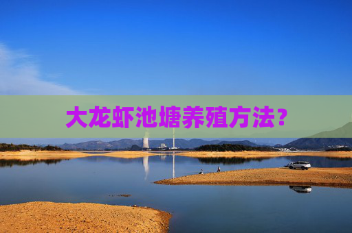 大龙虾池塘养殖方法？