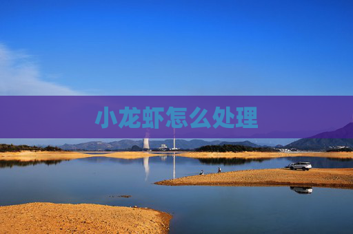 小龙虾怎么处理