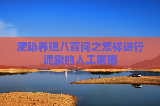泥鳅养殖八百问之怎样进行泥鳅的人工繁殖