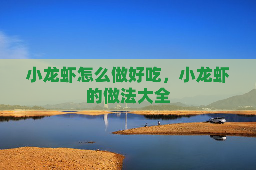 小龙虾怎么做好吃，小龙虾的做法大全