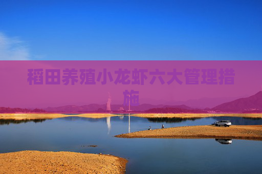 稻田养殖小龙虾六大管理措施