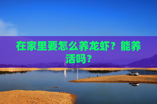 在家里要怎么养龙虾？能养活吗？