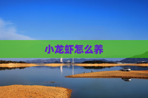小龙虾怎么养