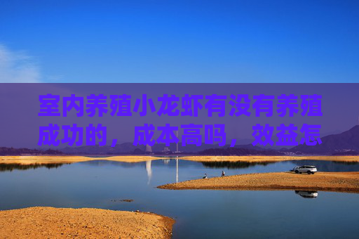 室内养殖小龙虾有没有养殖成功的，成本高吗，效益怎么样