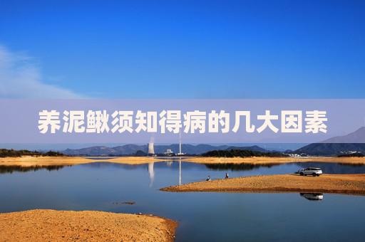 养泥鳅须知得病的几大因素