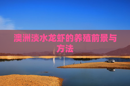 澳洲淡水龙虾的养殖前景与方法