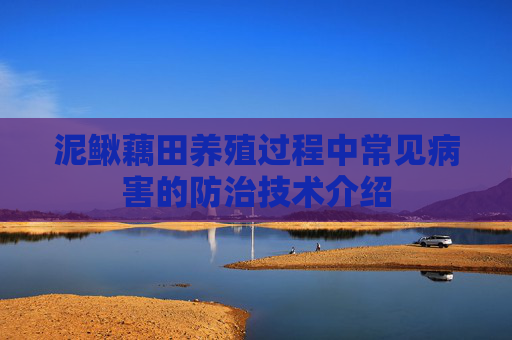 泥鳅藕田养殖过程中常见病害的防治技术介绍