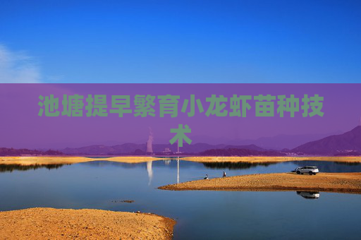 池塘提早繁育小龙虾苗种技术