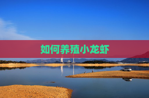 如何养殖小龙虾