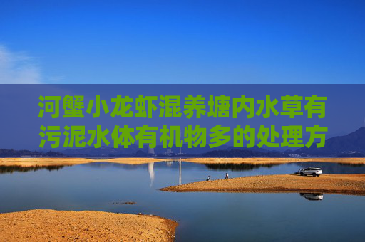 河蟹小龙虾混养塘内水草有污泥水体有机物多的处理方法