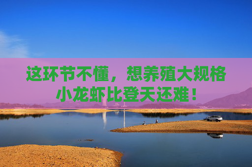 这环节不懂，想养殖大规格小龙虾比登天还难！