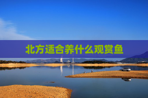 北方适合养什么观赏鱼