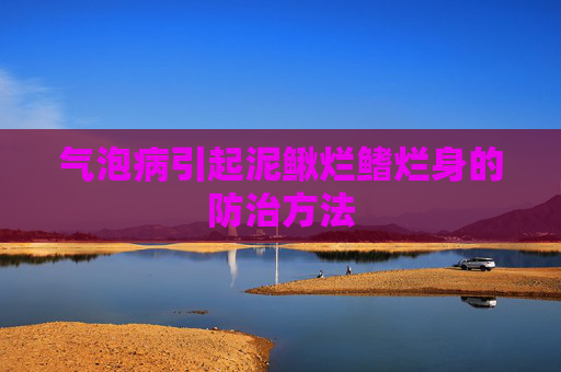 气泡病引起泥鳅烂鳍烂身的防治方法