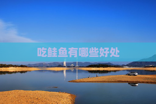 吃鲑鱼有哪些好处