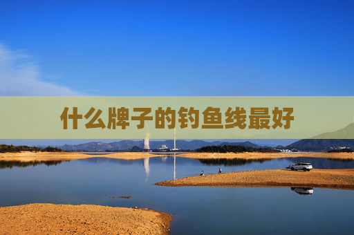 什么牌子的钓鱼线最好