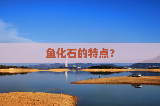 鱼化石的特点？