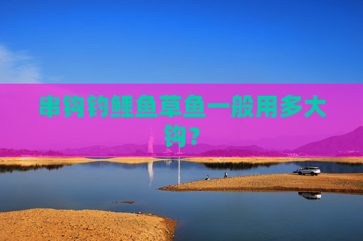 串钩钓鲤鱼草鱼一般用多大钩？