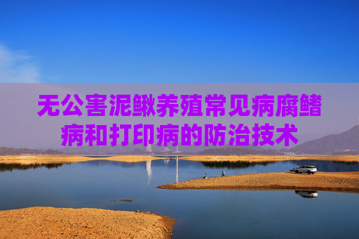 无公害泥鳅养殖常见病腐鳍病和打印病的防治技术