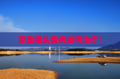 草鱼锚头蚤病如何治疗？